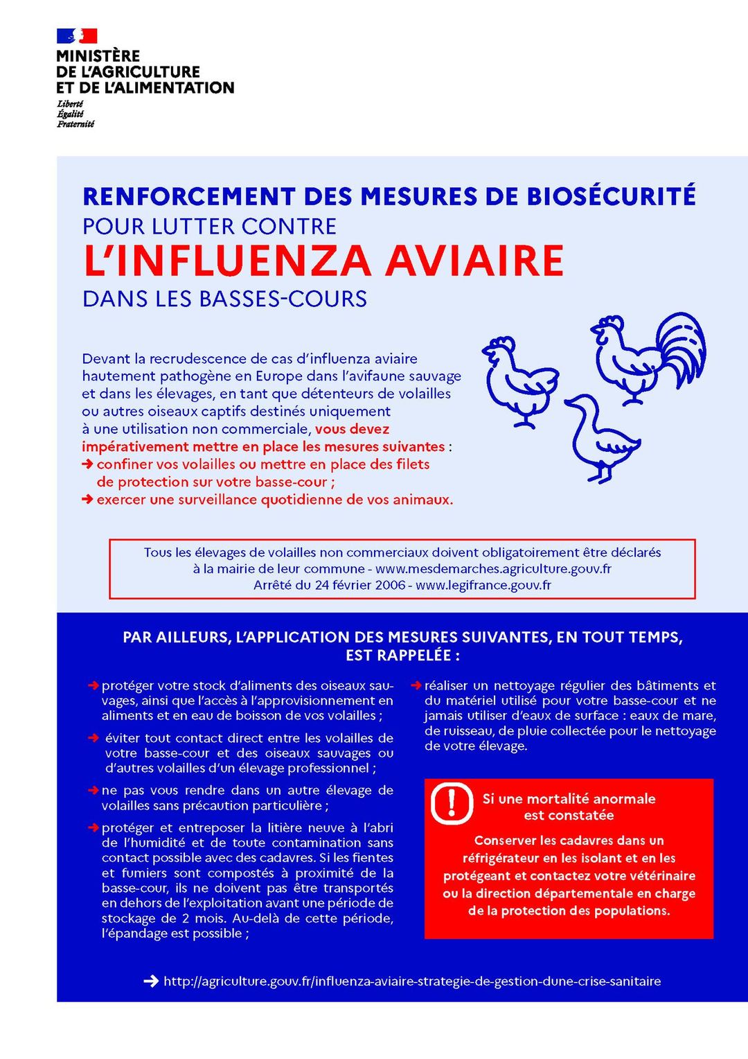 Infographie concernant le renforcement des mesures de biosécurité pour lutter contre l'influenza aviaire dans les basses-cours