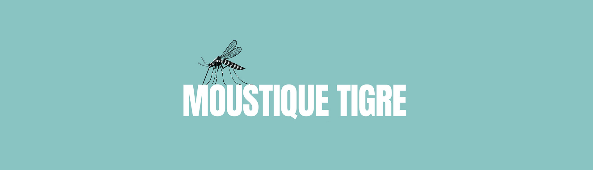 Moustique tigre : adoptons les bons gestes